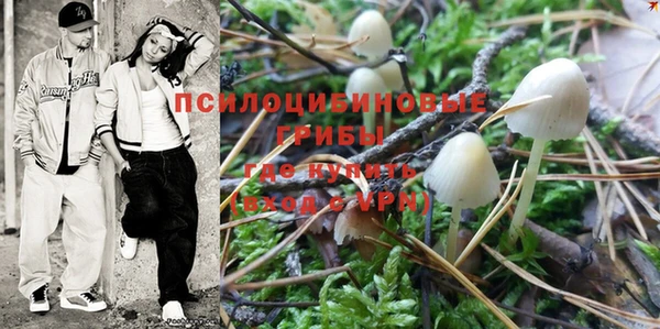дживик Новозыбков