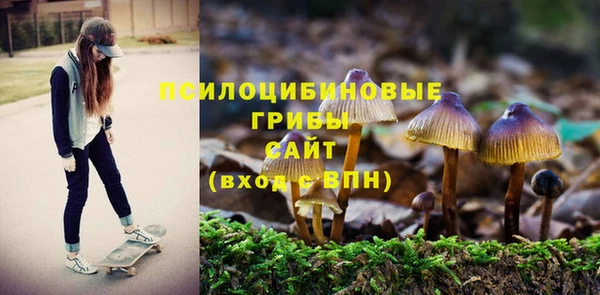 герыч Нея