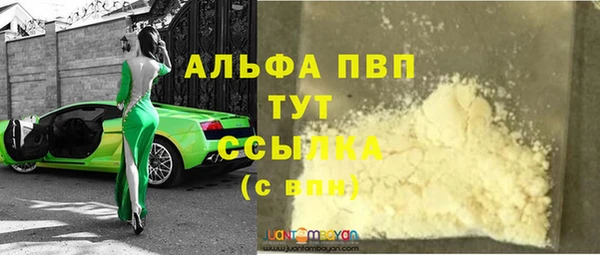 дживик Новозыбков