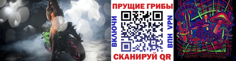 Псилоцибиновые грибы Psilocybe  Шарыпово 