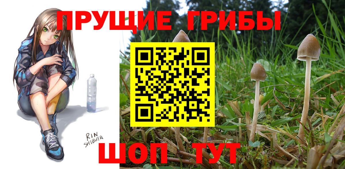 Шарыпово  Галлюциногенные грибы MAGIC MUSHROOMS  Вход с VPN 
