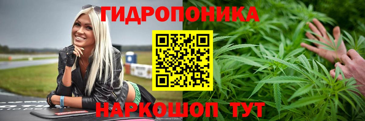 Бошки Шишки Amnesia  Конопля White Widow  Бошки Шишки семена  Канабис индика  Шарыпово 